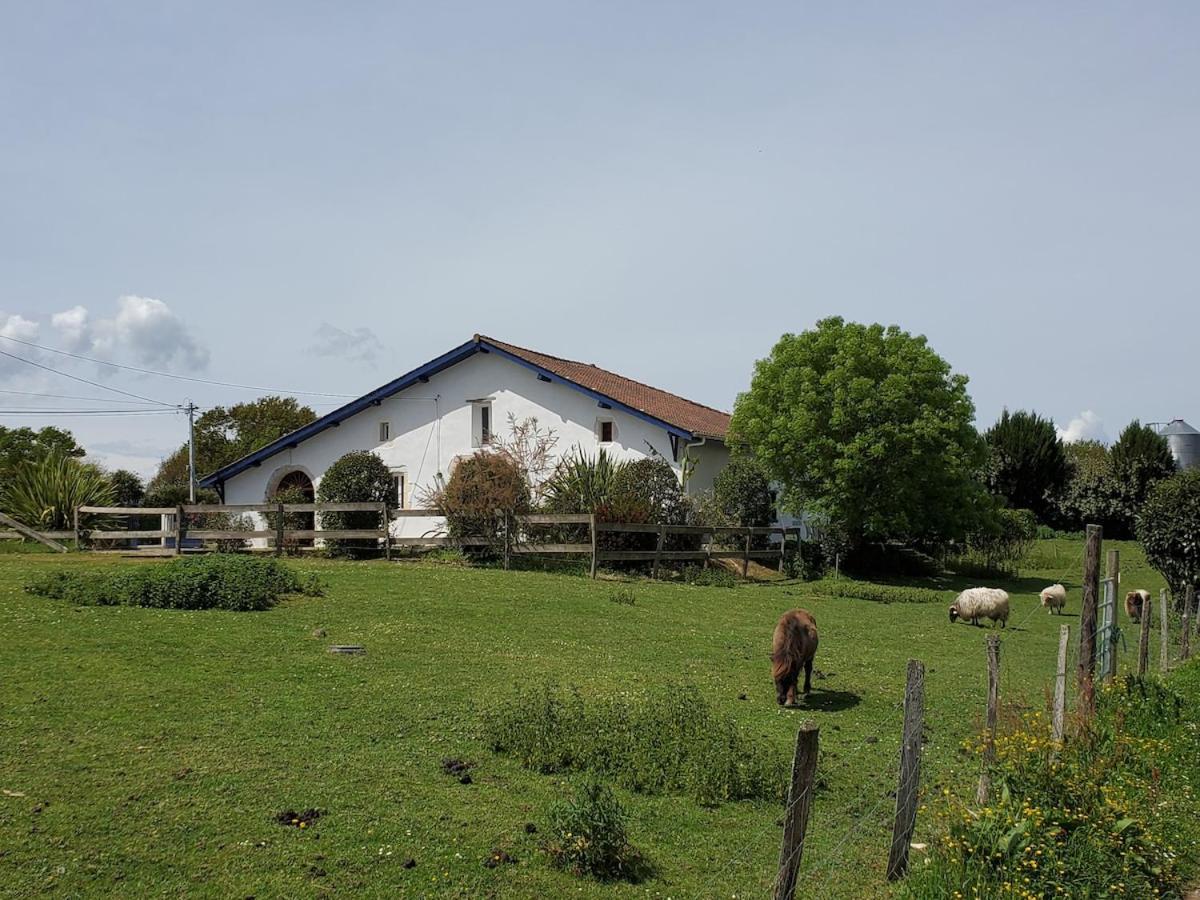 Family Home With Pool Saint-Lon-Les-Mines Exterior photo